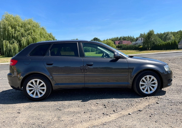 Audi A3 cena 21999 przebieg: 316050, rok produkcji 2008 z Wrocław małe 121